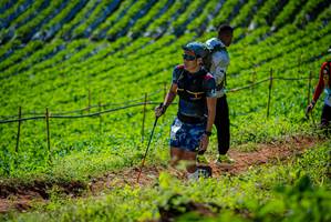 BIB: 
                            <button type="button" onclick="openModal(19162577)" class="btn btn-primary btn-sm float-right btn-popup" data-toggle="modal" data-target=".modal-high-quality">
                        <i class="fas fa-shopping-cart"></i> Add to Cart
                    </button>
                                            <button type="button" onclick="isThisMe(19162577, true)" class="btn btn-success btn-sm float-right btn-popup btn-isme hidden" data-toggle="tooltip" data-placement="bottom" title="นี่คือรูปของคุณใช่ไหม คลิกที่นี่เพื่อเอาเข้าอัลบั้ม">
                        <i class="fas fa-plus"></i> Add to album
                    </button>
                    <button type="button" onclick="isThisMe(19162577, false)" class="btn btn-warning btn-sm float-right btn-popup btn-isnotme hidden">
                        <i class="fas fa-ban"></i> Remove from album
                    </button>